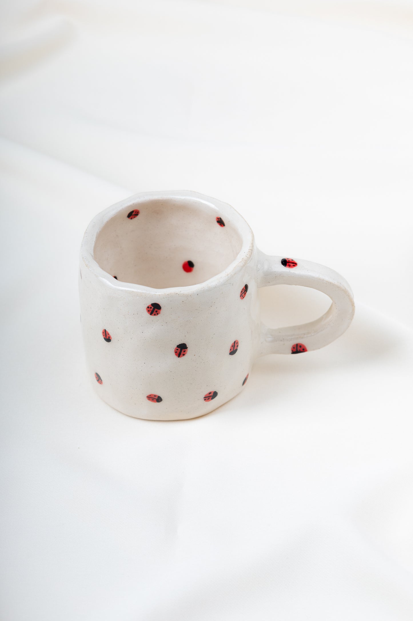 Taza mariquitas 🐞