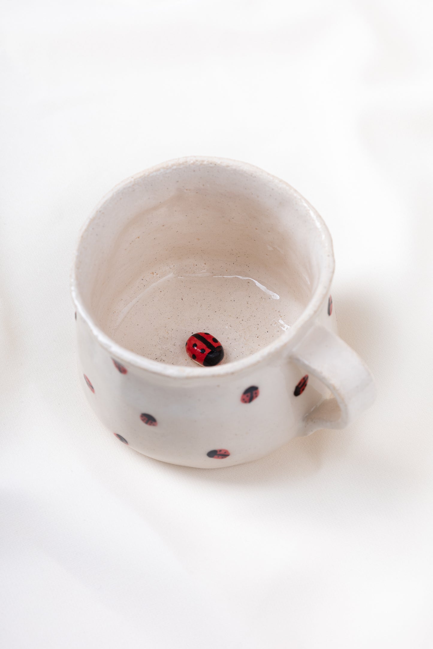 Taza mariquita🐞