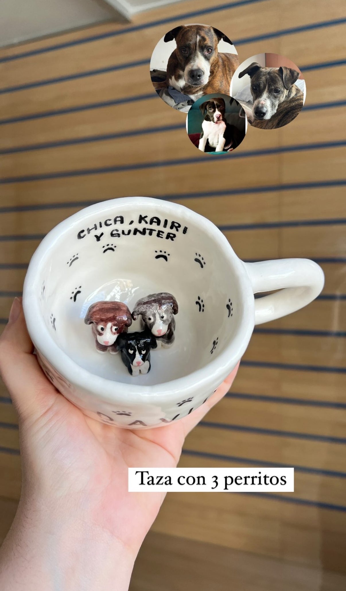 Taza Mascota personalizada